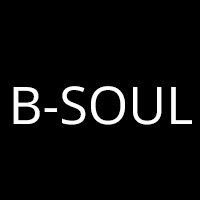 B-SOUL