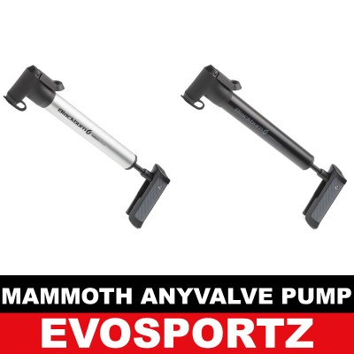 Blackburn Mammoth Anyvalve Pump