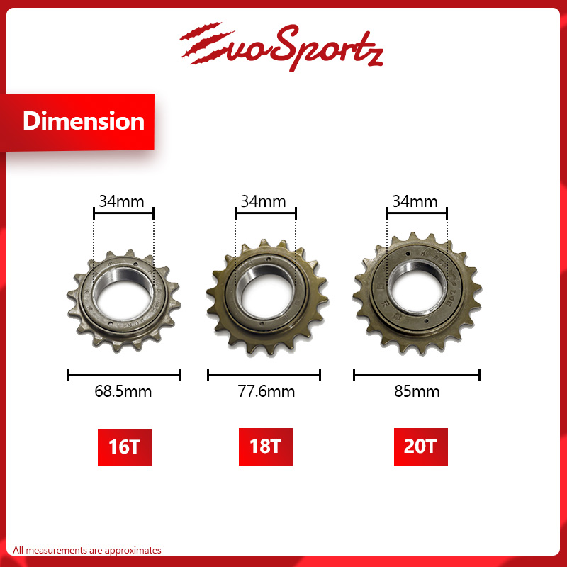 Single speed freewheel sprocket sale
