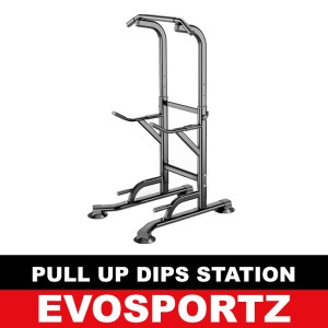 Pull Up Dips Station