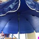 Large Parasol