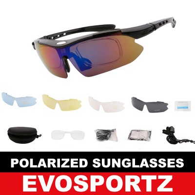 Polarized Sunglasses (ES-0330)