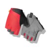 Red / Large