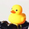 Kids Rubber Ducky Bell