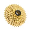 10 Speed