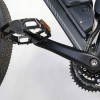 Bicycle Crank Arm