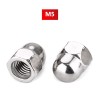 M5 / Acorn