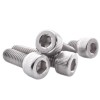 Stainless Steel Screws (Socket Screws)