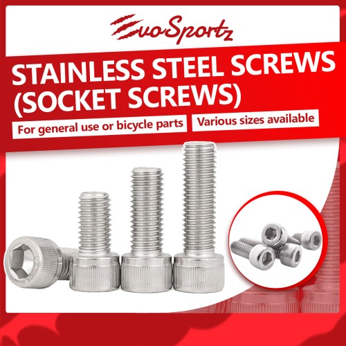 Stainless Steel Screws (Socket Screws)