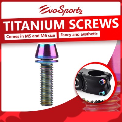Titanium Screws
