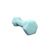 Turquoise / 0.5KG