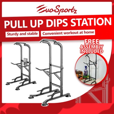 Pull Up Dips Station