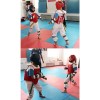 Taekwondo Guard Set