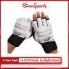 Taekwondo Gloves