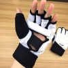 Taekwondo Gloves