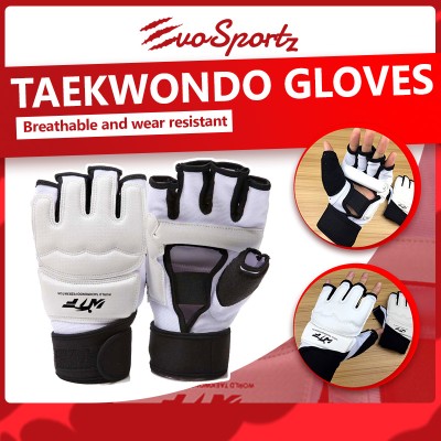 Taekwondo Gloves