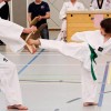 Taekwondo Wooden Plank
