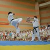 Taekwondo Wooden Plank
