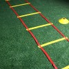 EvoSportz Agility Ladder