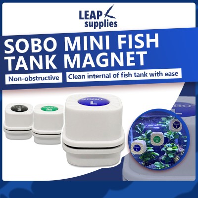 Fish Tank Algae Magnet