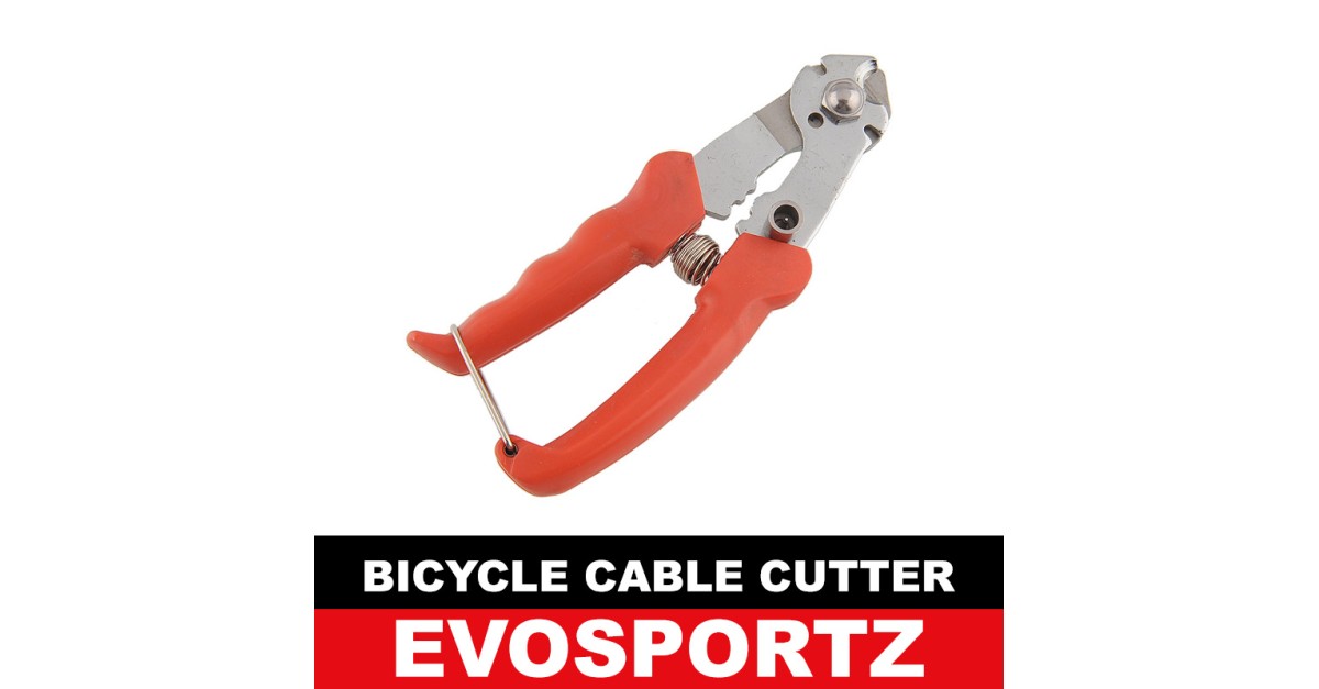 Brakes EvoSportz Singapore