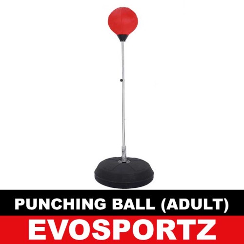 Punching Ball (Adult)