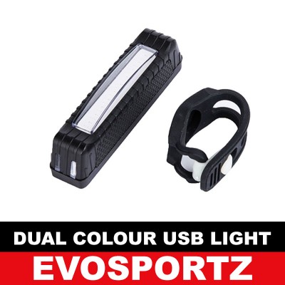Dual Colour USB Rechargeable Light